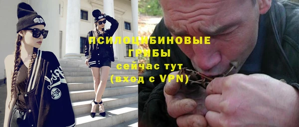 гидра Алексеевка
