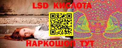 герыч Кингисепп