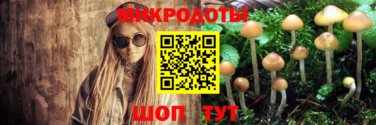 Псилоцибиновые грибы Psilocybine cubensis Людиново